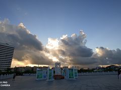 -宝安西湾红树林湿地公园