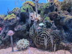 -大连老虎滩海洋公园