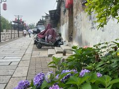 -水绘园