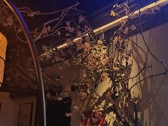 -绿茶餐厅(光谷世界城步行街店)
