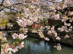-广富林郊野公园