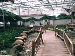 -上海都市菜园