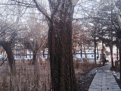 -长春市南湖公园