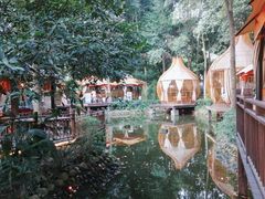 -二荆条·蜀鲜汇城市森林火锅