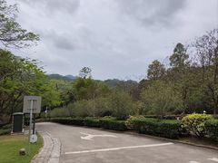 -田心森林公园