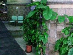 -金港健身游泳(水围店)