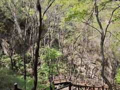 -大岭沟猕猴桃谷风景区
