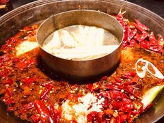 鸳鸯锅-洋马儿火锅(解放碑店)