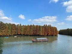 -上海海湾国家森林公园