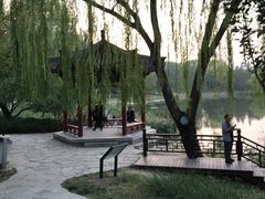 -北坞公园