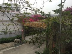 -喜运来大酒店温泉