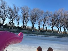 -北陵公园