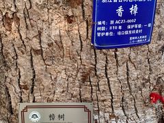 -东梓关景区村庄