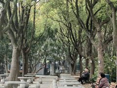 -泰州凤城河风景区-泰山公园