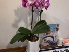 -紫腾大院·南京菜(江宁店)