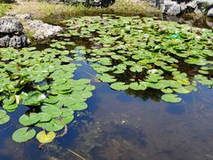 -日出青木·杭帮菜名店