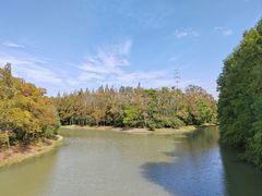 -上海海湾国家森林公园