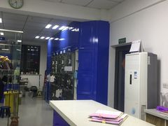 -睿金宠物医院·CT·肿瘤·骨外科