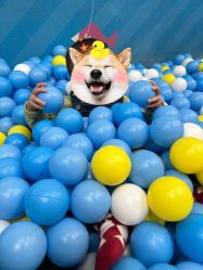 -莫莉幻想儿童乐园(武汉经开永旺店)