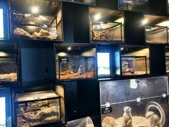 -太平洋海底世界