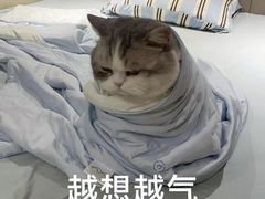 -CAPARESH開府莱舍(望京金辉店)