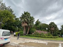 -洱海月湿地公园