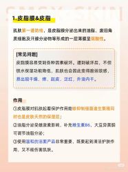 -玛莲朵·海菲秀冰珀科