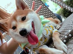 -Peet's Coffee皮爷咖啡(大学路店)