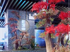 -鲜潭蒸汽石锅鱼(五道口购物中心店)