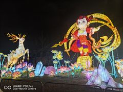 -武汉园博园(武汉自然博物馆)