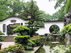 -南山植物园