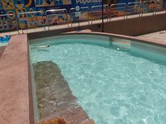 -帕帕拉兹宠物(亚洲旗舰店)