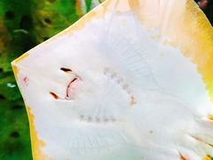 -珠海长隆海洋王国