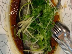 -糖朝(尖沙咀店)