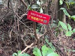-黄埔油麻山森林公园