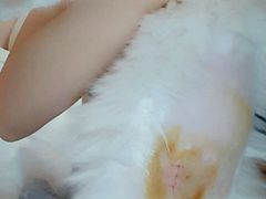 -纳吉亚猫专科动物医院博雅分院