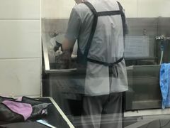-达爱动物医院·犬猫分区·CT·复杂眼科(远洋山水分院)