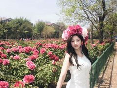 -曹州牡丹园