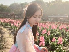 -丹樱生态园