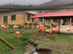 -哈尔滨北方森林动物园