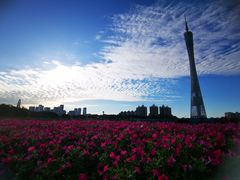 -海心沙亚运公园