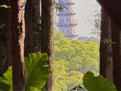 -江心屿景区