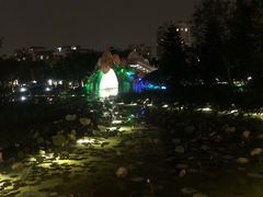-映月湖公园