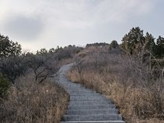 -北京西山国家森林公园