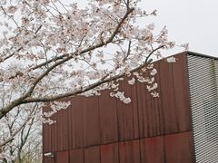 -龙美术馆(西岸馆)