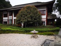 -铁山坪森林公园