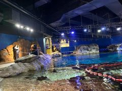 -香港海洋公园