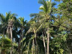 -三亚海棠湾万丽度假酒店