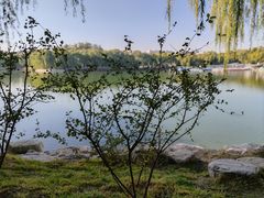 -陶然亭公园
