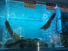 -协成海鲜火锅(海洋花园店)
